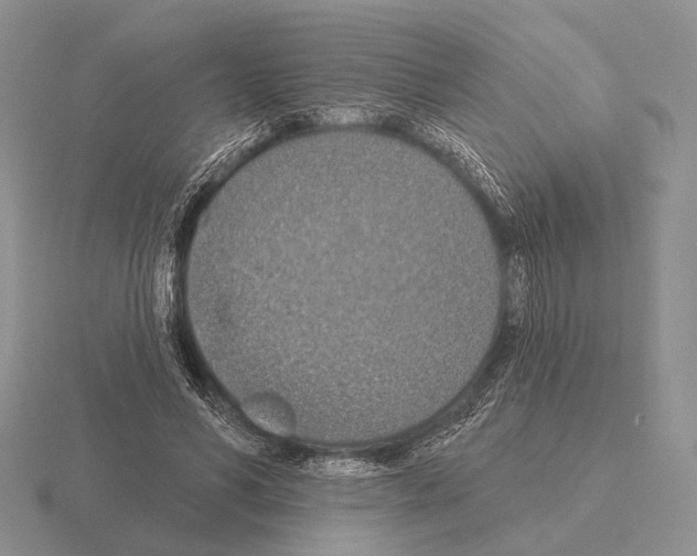 X0000115400590200912151522