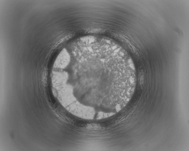 X0000115400591200912151522