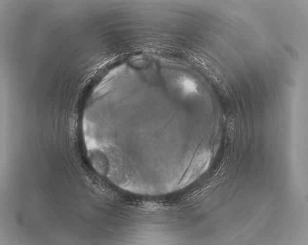 X0000115400592200912151522