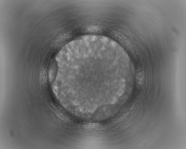 X0000115400593200912151522