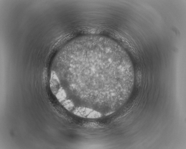 X0000115400594200912151522