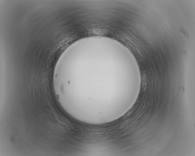 X0000115400595200912151522