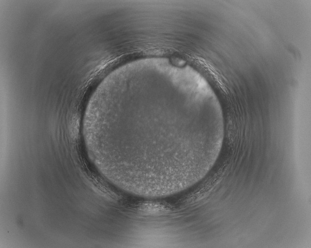 X0000115400596200912151522