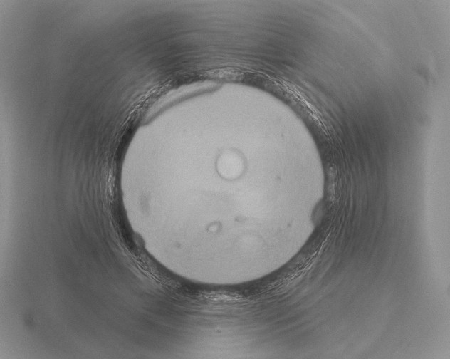 X0000115400597200912151522