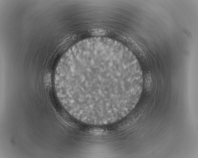 X0000115400598200912151522