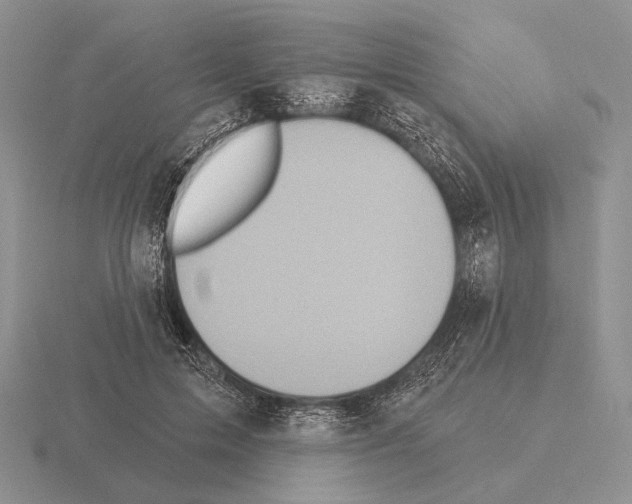 X0000115400599200912151522