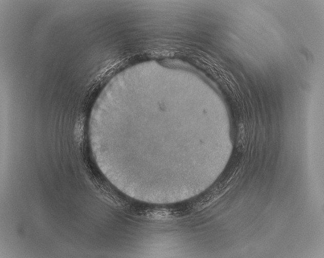 X0000115400600200912151522