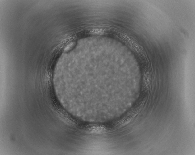 X0000115400601200912151522