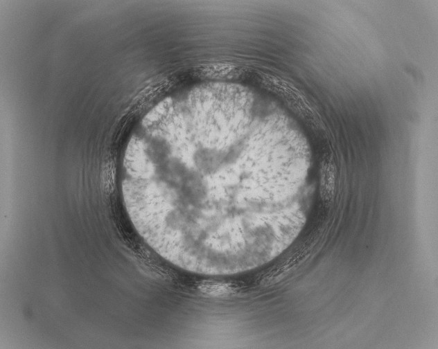 X0000115400602200912151522