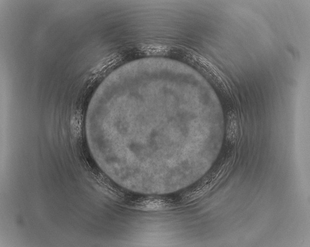 X0000115400604200912151522