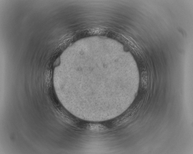 X0000115400605200912151522