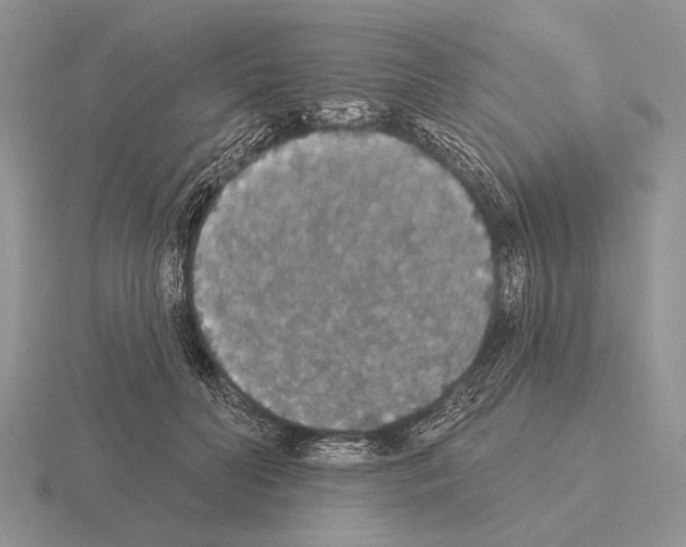 X0000115400606200912151522