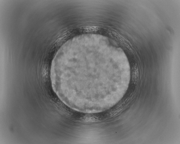 X0000115400608200912151522