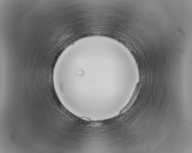 X0000115400609200912151522