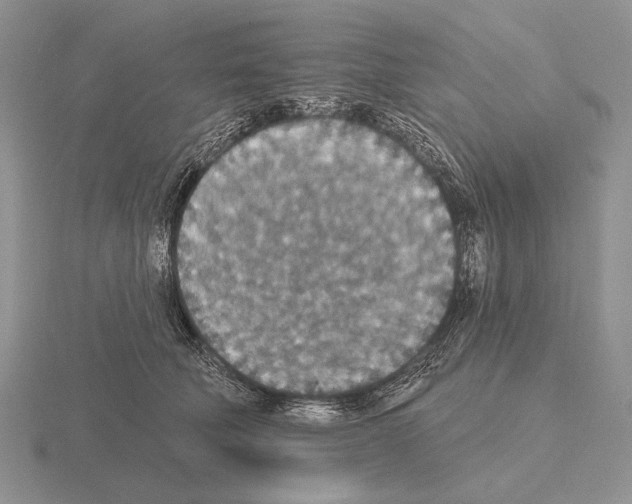 X0000115400610200912151522