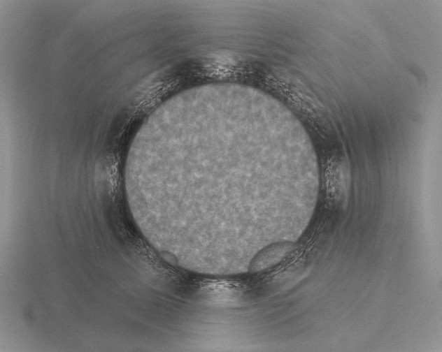 X0000115400611200912151522