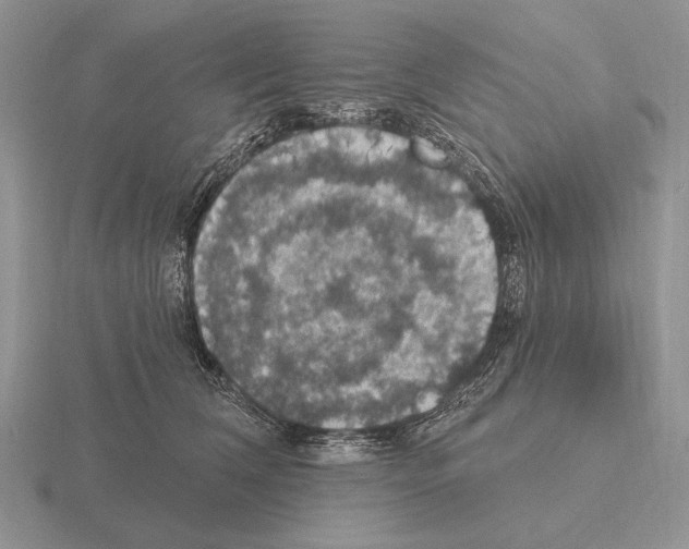 X0000115400612200912151522