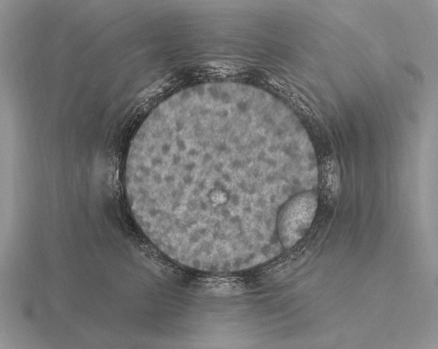 X0000115400615200912151522