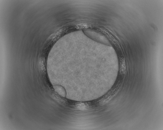 X0000115400616200912151522