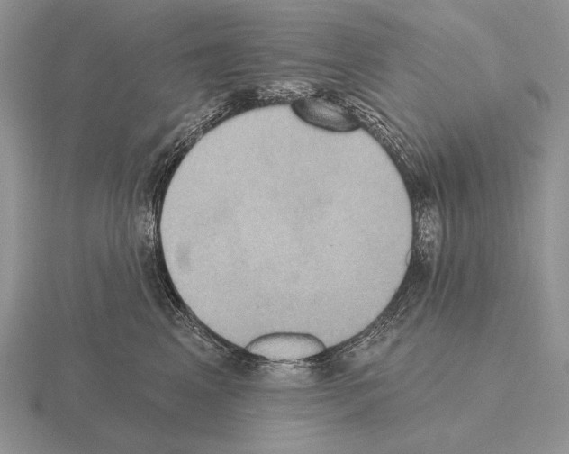 X0000115400617200912151522