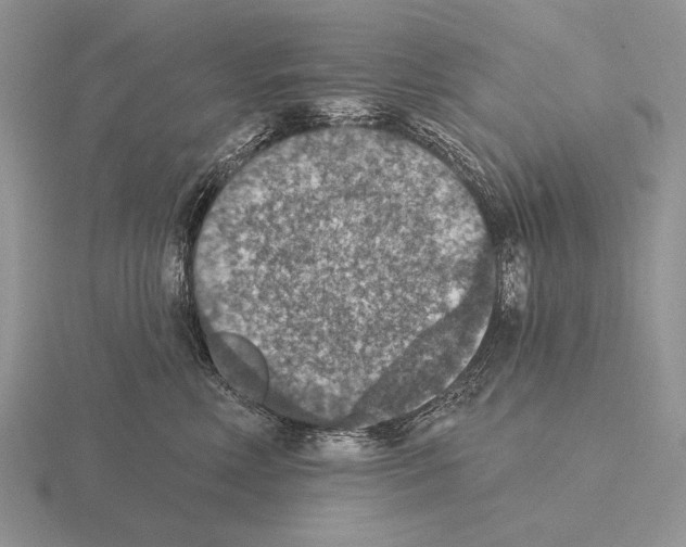 X0000115400618200912151522