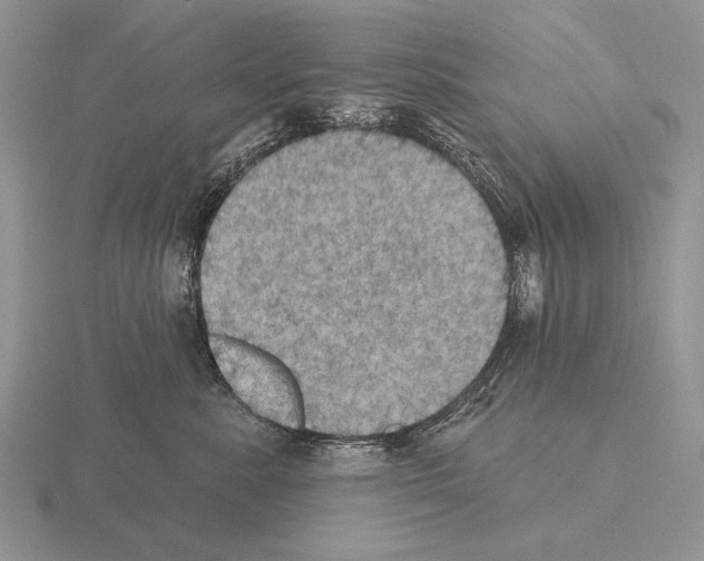 X0000115400619200912151522