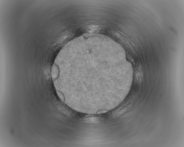 X0000115400620200912151522