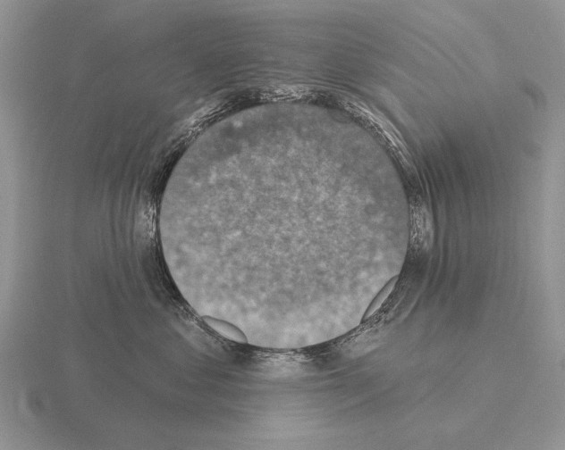 X0000115400621200912151521