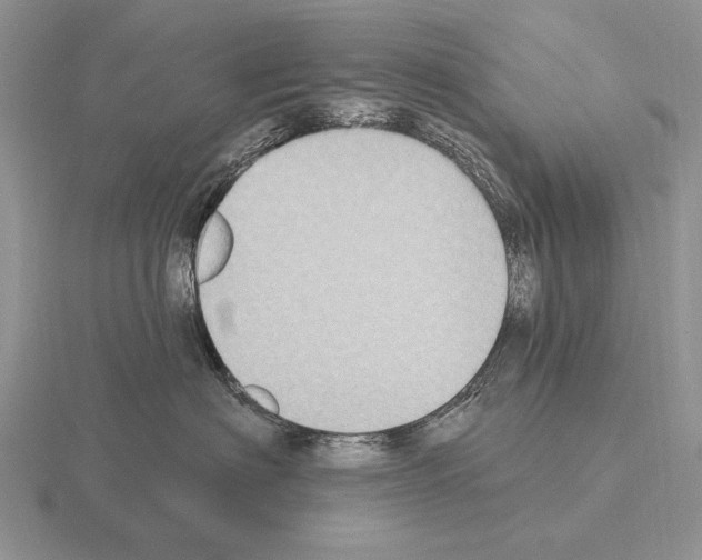 X0000115400622200912151521