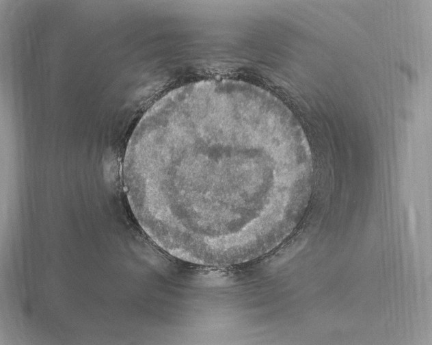 X0000115400624200912151521