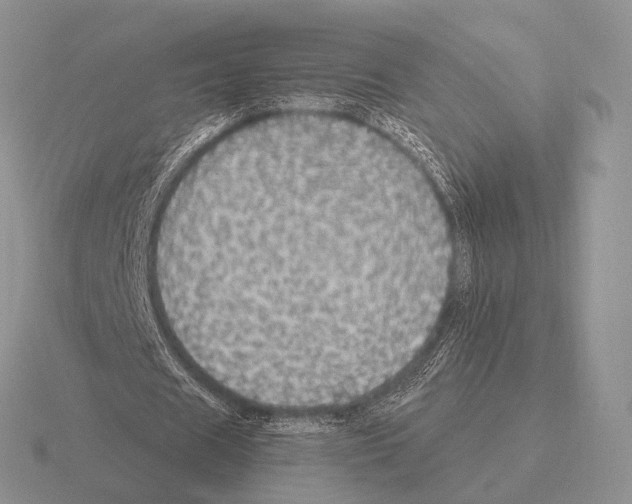 X0000115400625200912151521