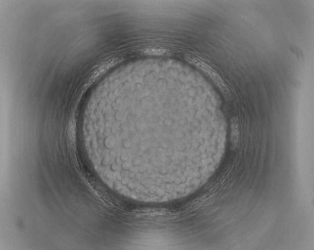 X0000115400626200912151521