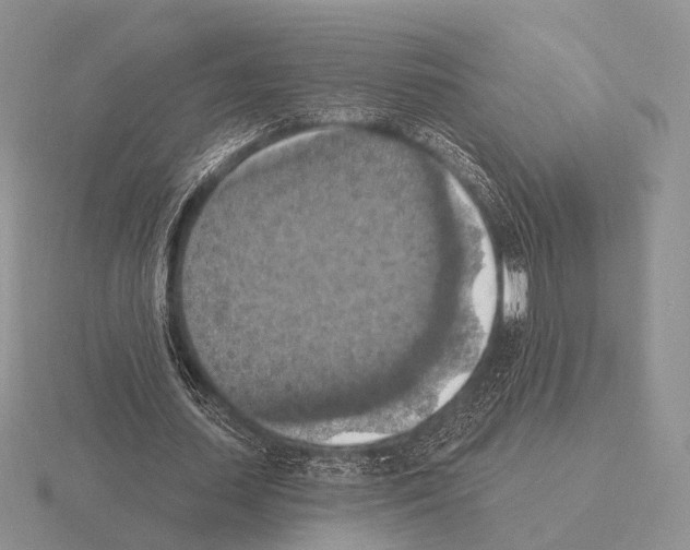 X0000115400627200912151521