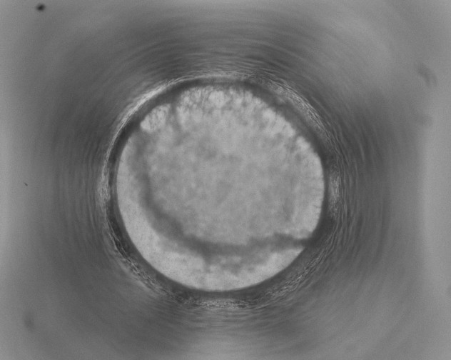 X0000115400628200912151521