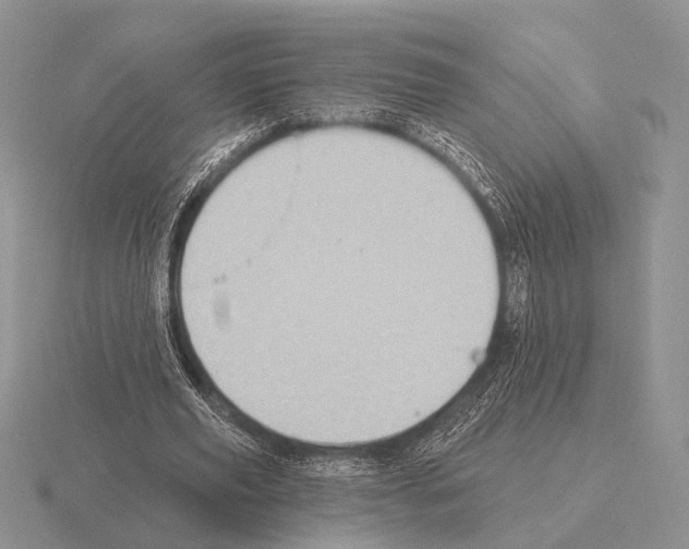 X0000115400629200912151521