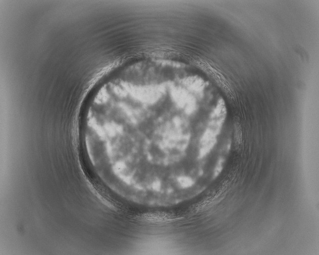 X0000115400630200912151521