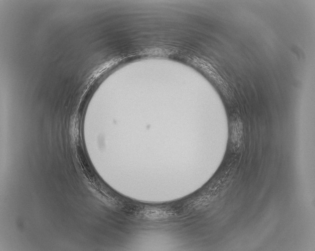 X0000115400632200912151521