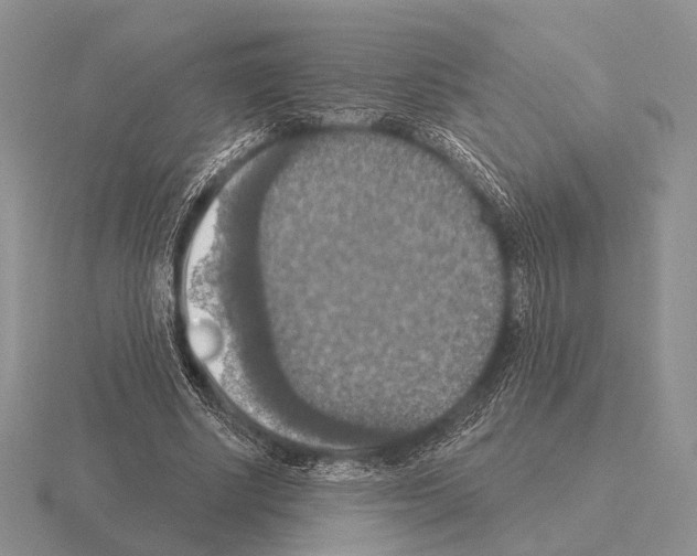 X0000115400634200912151521