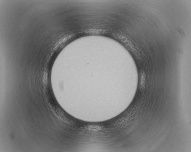 X0000115400636200912151521