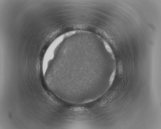 X0000115400637200912151521