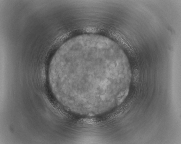 X0000115400639200912151521