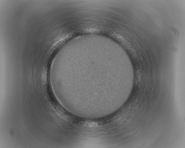 X0000115400640200912151521