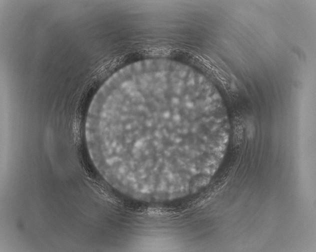 X0000115400641200912151521