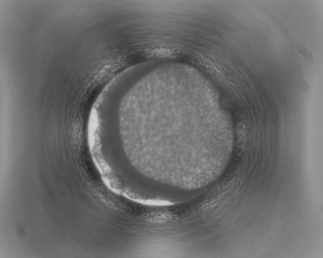 X0000115400642200912151521