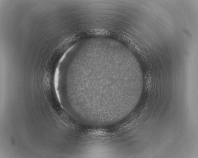 X0000115400643200912151521