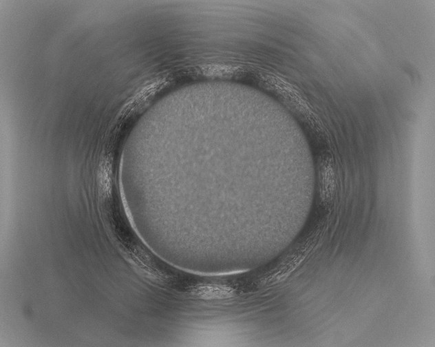 X0000115400644200912151521