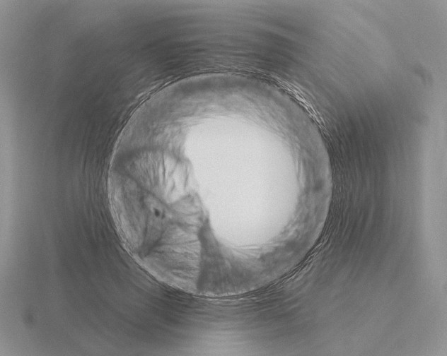 X0000115400645200912151521