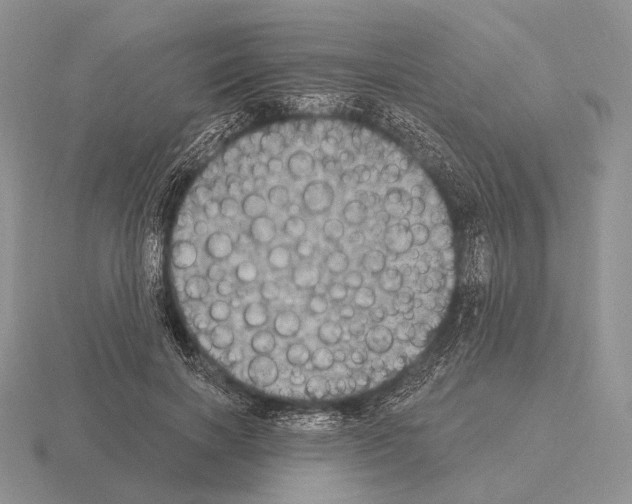 X0000115400646200912151521