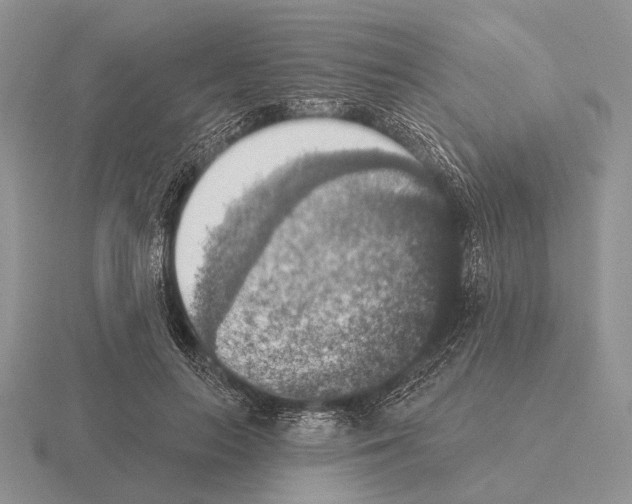 X0000115400647200912151521