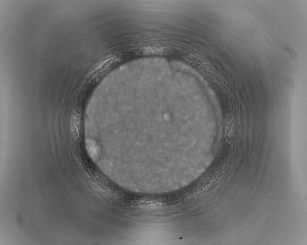 X0000115400648200912151521